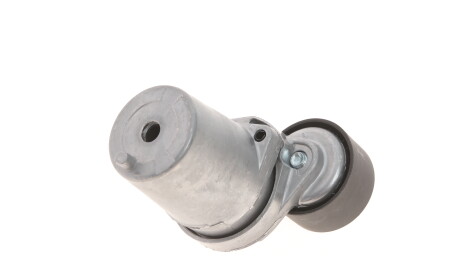 Фото 2 - Ролик ремня приводного Gates T39109