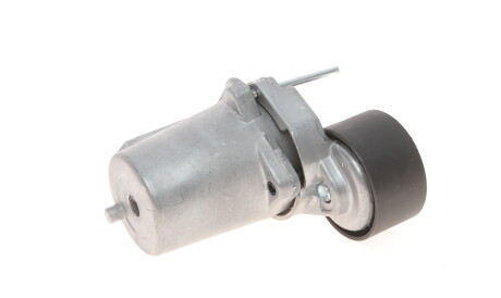 Фото 3 - Ролик ремня приводного Gates T39109