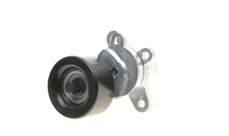 Фото 3 - Ролик ремня приводного Gates T39155