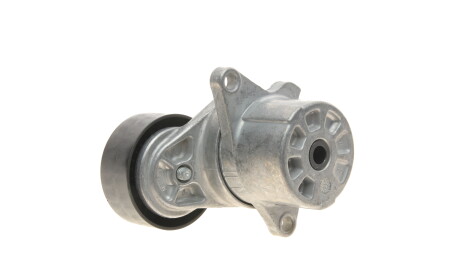 Фото 2 - Ролик ремня приводного Gates T39165