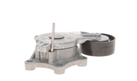 Фото 2 - Ролик ременя приводного Gates T39187