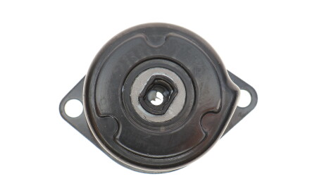 Фото 3 - Ролик ремня приводного Gates T39195