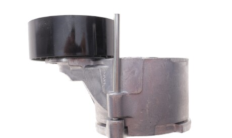 Фото 3 - Ролик ременя приводного Gates T39281