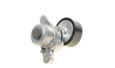 Фото 2 - Ролик ременя приводного Gates T39377