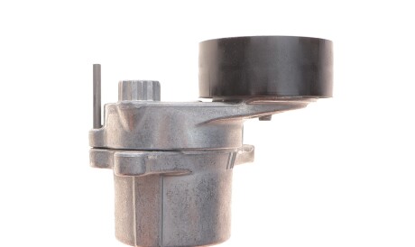 Фото 3 - Ролик ременя приводного Gates T39495