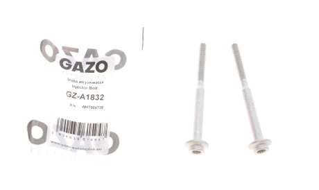 Болт кріплення форсунки VW Caddy/T5 2.0TDI 10- (к-кт 2шт.) - GAZO GZ-A1832
