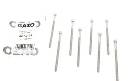 Болт кріплення форсунки - ((03G198051A, 03G103385A)) GAZO GZ-A2109
