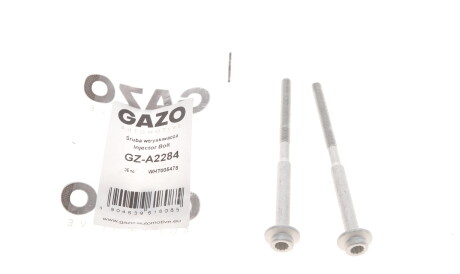 Болт кріплення форсунки VW Passat/Caddy IV 2.0TDI 10- (к-кт 2шт.) - GAZO GZ-A2284