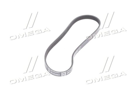 Фото 4 - Ремень приводной General Motors 25183061