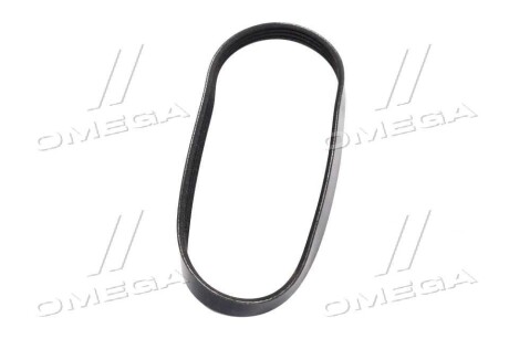 Фото 2 - Ремінь приводний General Motors 25195573