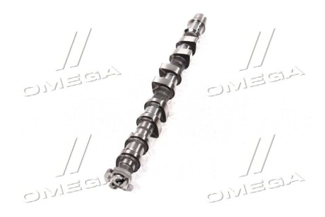 Фото 4 - Распредвал General Motors 55561748