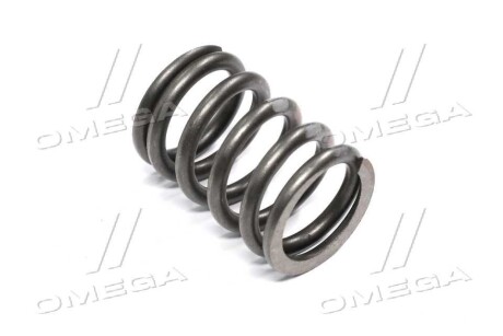 Пружина клапана Лачетті 1,8 LDA GM - General Motors 90412706