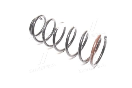 Фото 3 - Пружина подвески General Motors 96257711