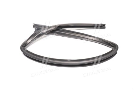 Ущільнювач двері - General Motors 96304078