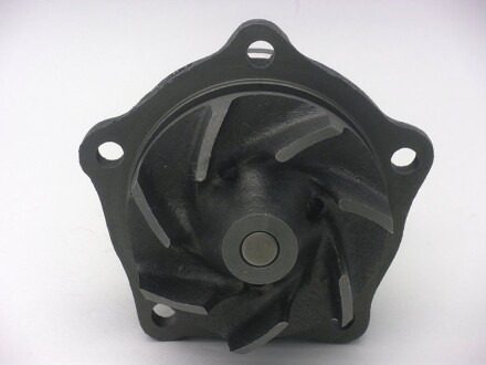 Фото 2 - Водяной насос GMB GWT65A