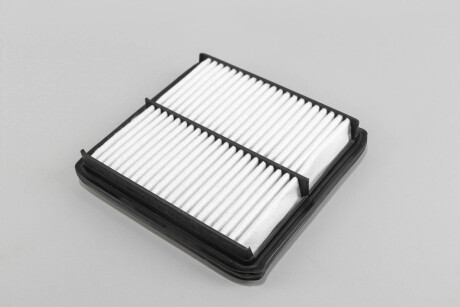 Фото 2 - Повітряний фільтр GOODREM RF1260WB