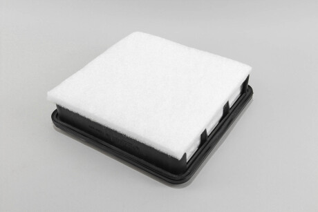 Фото 2 - Воздушный фильтр GOODREM RF1700FWB