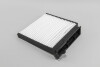 Фільтр салону Clio/Logan/Modus/Duster/Sandero 08- - (27891AX01A, 27891AX010, 8201153808) GOODREM RF2075WB (фото 1)