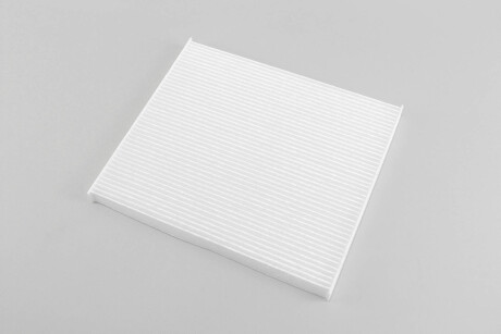 Фільтр салону Santa Fe 2.0-2.4 11- - GOODREM RF2652WB