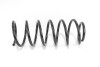 Пружина підвіски GOODREM RP0070 - зображення 1