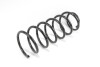 Пружина підвіски GOODREM RP0070 - зображення 2