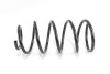 Пружина підвіски GOODREM RP0082 - зображення 1