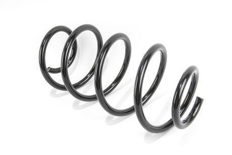 Фото 2 - Пружина підвіски GOODREM RP0141