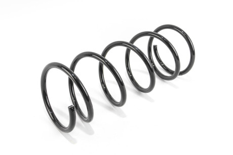 Фото 2 - Пружина підвіски GOODREM RP0189