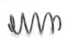 Пружина підвіски GOODREM RP0198 - зображення 1