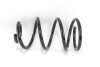 Пружина підвіски GOODREM RP0214 - зображення 1