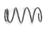 Пружина підвіски GOODREM RP0233 - зображення 1
