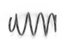 Пружина підвіски GOODREM RP0259 - зображення 1