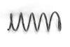 Пружина підвіски GOODREM RP0260 - зображення 1