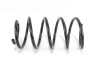 Пружина підвіски GOODREM RP1031 - зображення 1