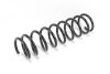 Пружина підвіски GOODREM RP1061 - зображення 2