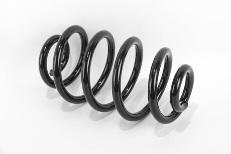 Фото 2 - Пружина підвіски GOODREM RP1076