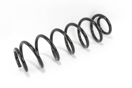 Фото 2 - Пружина підвіски GOODREM RP1103