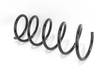 Фото 2 - Пружина підвіски GOODREM RP1153