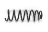 Пружина підвіски GOODREM RP1163 - зображення 1