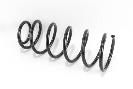 Фото 2 - Пружина підвіски GOODREM RP1219