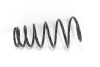 Пружина підвіски GOODREM RP1234 - зображення 1