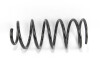 Пружина амортизатора (підвіски) GOODREM RP1235 - зображення 1