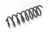 Пружина підвіски GOODREM RP1249 - зображення 2