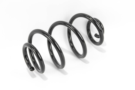 Фото 2 - Пружина подвески GOODREM RP1263