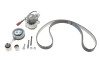 Комплект ГРМ + помпа Skoda Octavia III/VW Golf VII 1.6 TDI 81kw 13-17 (145x25) (PA1360A-8) - (036109244K, 038109244P, 03L109244D) GRAF KP1360-3 (фото 1)