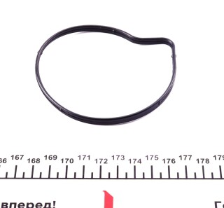 Фото 2 - Водяний насос GRAF PA1179