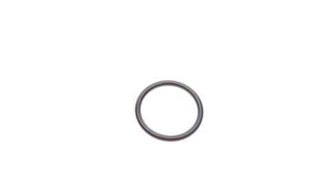 Фото 3 - Водяний насос GRAF PA620