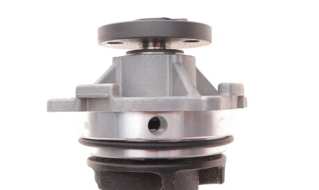 Фото 3 - Водяний насос GRAF PA741