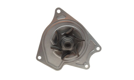 Фото 2 - Водяний насос GRAF PA930