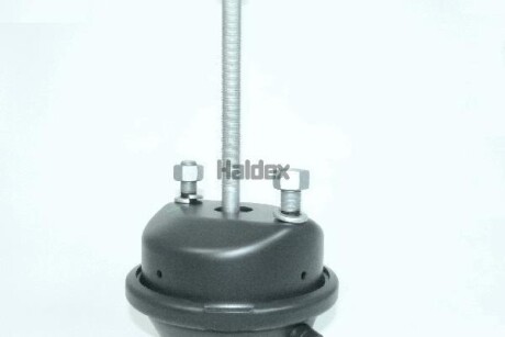 Гальмівний енергоакумулятор задн (20, хід штока: 76мм, M16x1,5мм, 210) DAF - HALDEX 123200003